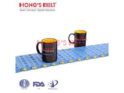 HONGSBELT HS-1600B modular plastic conveyor belt for fruit and vegetable processing