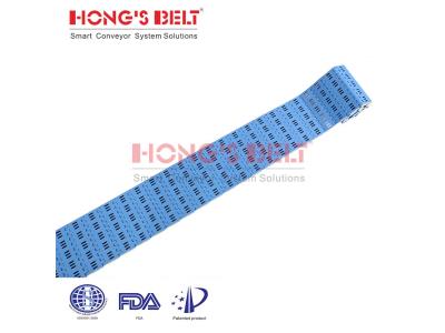 HONGSBELT HS-1600B modular plastic conveyor belt for fruit and vegetable processing