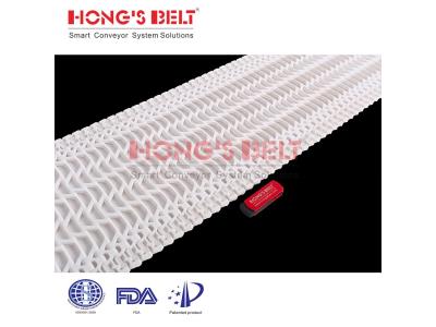 HONGSBELT HS-1500B-N Flush grid modular plastic conveyor belt for pizza making line