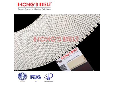 HONGSBELT HS-1200B modular plastic conveyor belt for spiral conveyors