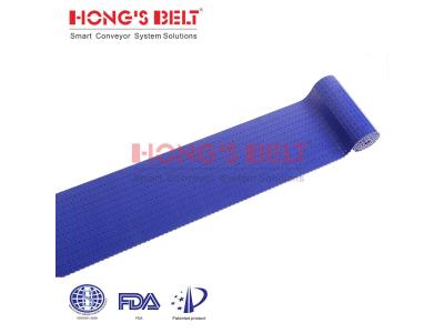 HONGSBELT HS-1100AB-N modular plastic conveyor belt for can making