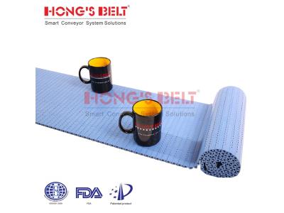 HONGSBELT HS-1100A-N modular plastic conveyor belt for food industry