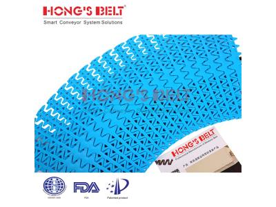 HONGSBELT HS-2200-B2 modular plastic conveyor belt for spiral conveyors