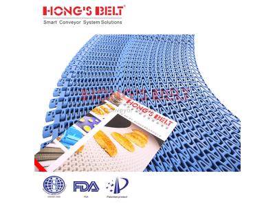 HONGSBEL HS-1900B modular plastic conveyor belt for frozen spiral conveyors