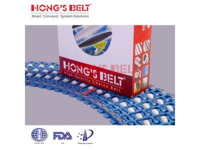 HONGSBELT HS-300B-PLUS-C Roller top modular plastic conveyor belt for box transporting