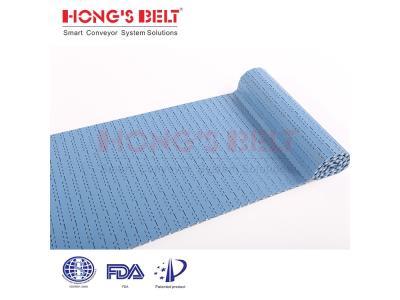 HONGSBELT HS-201A Flat top modular plastic conveyor belt