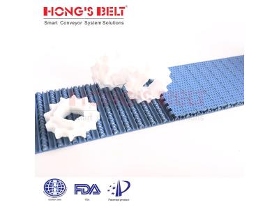 HONGSBELT HS-200AN Nub top modular plastic conveyor belt for vegetable processing