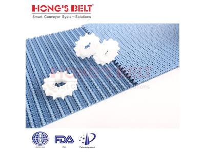 HONGSBELT HS-200B Perforated top modular plastic conveyor belt for tomatoes washing line