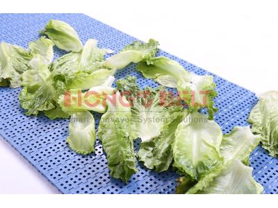 HONGSBELT HS-200B Perforated top modular plastic conveyor belt for tomatoes washing line