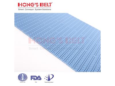 HONGSBELT HS-200B Perforated top modular plastic conveyor belt for tomatoes washing line