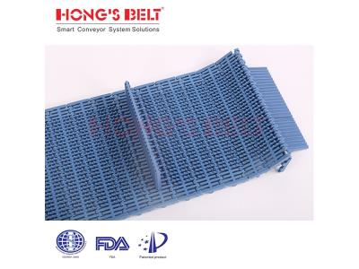 HONGSBELT HS-103B-HD-AN Nub Top modular plastic conveyor belt for meat seafood processing