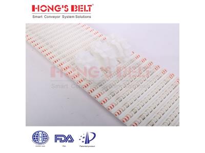 HONGSBELT HS-200A Flat top modular plastic conveyor belt for chicken processing