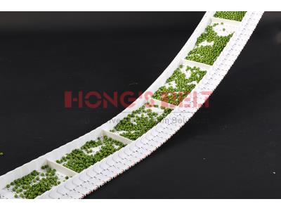 HONGSBELT HS-200A Flat top modular plastic conveyor belt for chicken processing