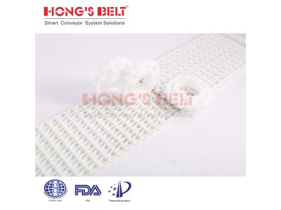 Plastic Modular Conveyor Belt HS-1000B
