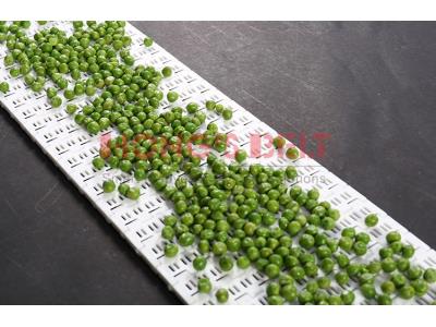 Plastic Modular Conveyor Belt HS-1000B