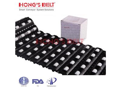 HONGSBELT HS-100A-HD-N-C Roller top modular plastic conveyor belt for warehousing