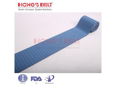 HONGSBELT HS-1000A Flat top modular plastic conveyor belt for food industry