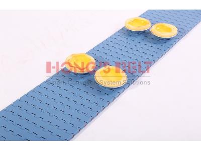 HONGSBELT HS-1000A Flat top modular plastic conveyor belt for food industry