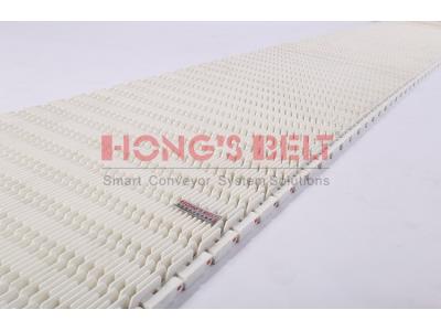 HONGSBELT HS-901D Raised Bid modular plastic conveyor belt