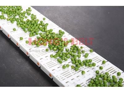 HONGSBELT HS-902B modular plastic conveyor belt