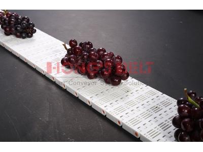 HONGSBELT HS-902B modular plastic conveyor belt