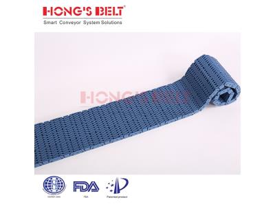 HONGSBELT HS-901D-HD Raised Bid modular plastic conveyor belt	for sterillization