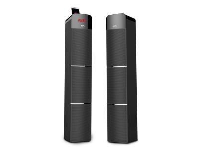 STAR (EM-2083FT)-Floor-standing Speakers