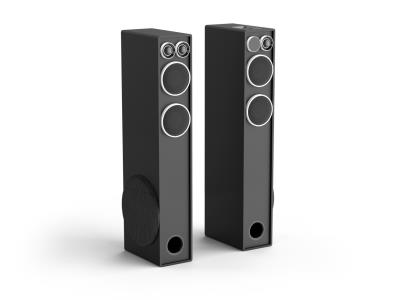 EM-2089FT-Floor-standing Speakers