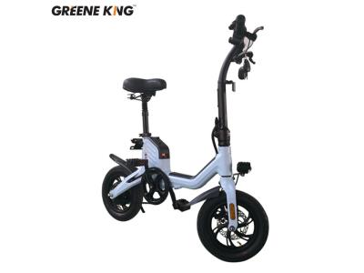 2020 two wheel electric bike for adults  X1