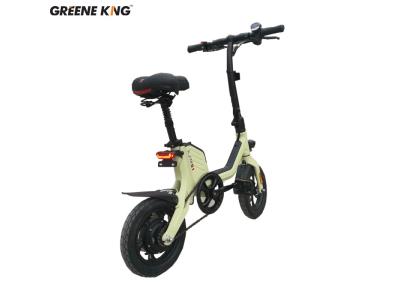 48V two wheel electric bike with lithium battery for adults  X1