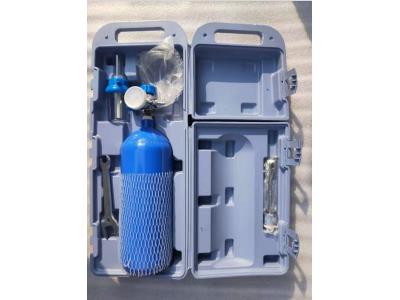 small portable oxygen cylinder 88g