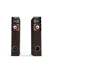 EM-2091T-Floor-standing Speakers