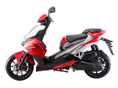 [copy]TS IMOLA50/125/150CC EEC SPORTY POWER SCOOTER