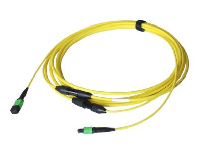 MPO backbone optical cable