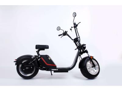 2019 Hot Sale New Style Famous Brand Luqi Quality-Guaranteed Electric Motorcycle