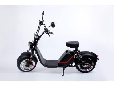 Big Promotion Nice Shape Luqi Electric Bicycle with Double Disc Brakes