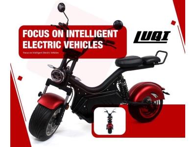 2020 Best Sale Extended Range Fat Tire Adult Electric Motorcycle with USB