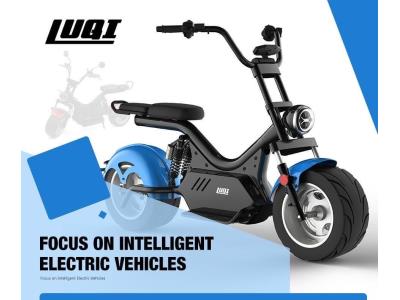 2020 Best Sale Extended Range Fat Tire Adult Electric Motorcycle with USB