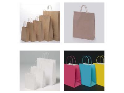 Fully Automatic Roll Fed Paper Bag with Handle Machine