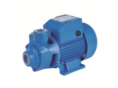 220V /60HZ Electric 0.75HP  Water Pump for Philippine Marked 