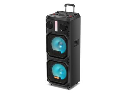 Trolley Speaker TD-212F