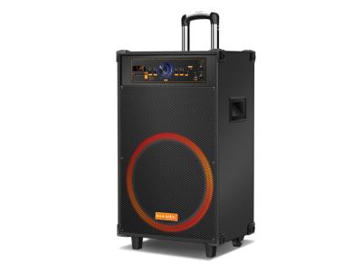 Trolley Speaker TEJ-15F