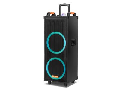 Trolley Speaker TEI-212F