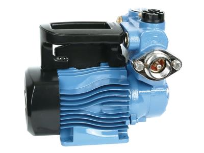 CPS Self-priming Peripheral Pump