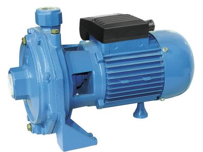 2CCP Two-stage Centrifugal Pump(back to back impellers)