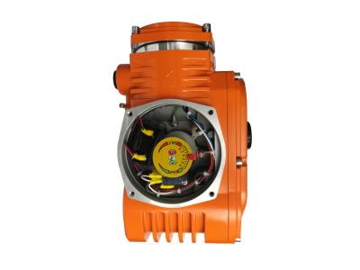 Over torque protection small packaged explosion proof electric actuator