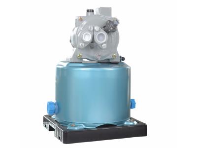 water pump YMD-250D/S