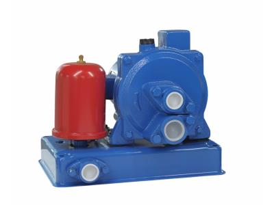 water pump YMD-305D/S