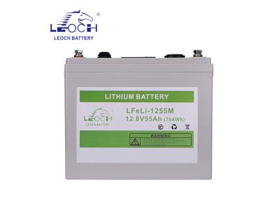 Lithium Battery LFeli-1255M