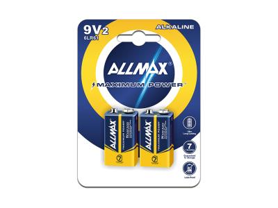 ALLMAX Alkaline Dry Battery 9V